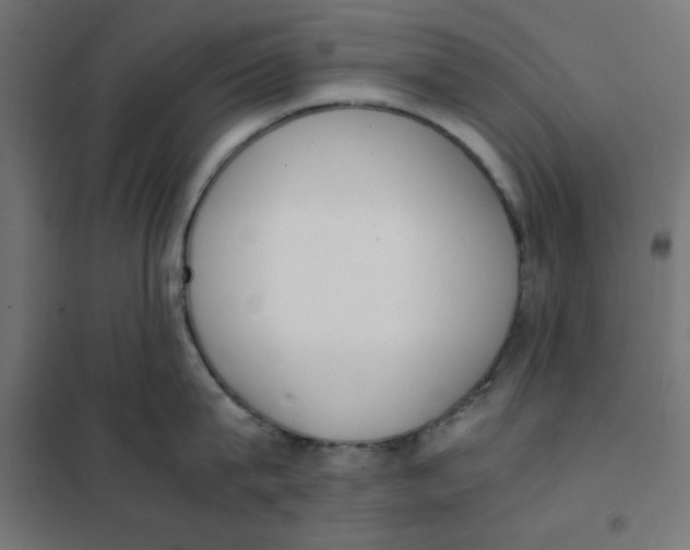 X0000101660815200808071020