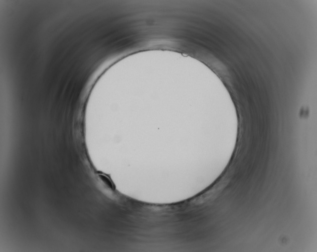 X0000101660816200808071020