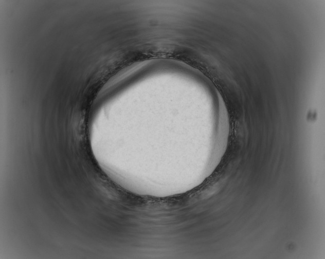 X0000101660818200808071019