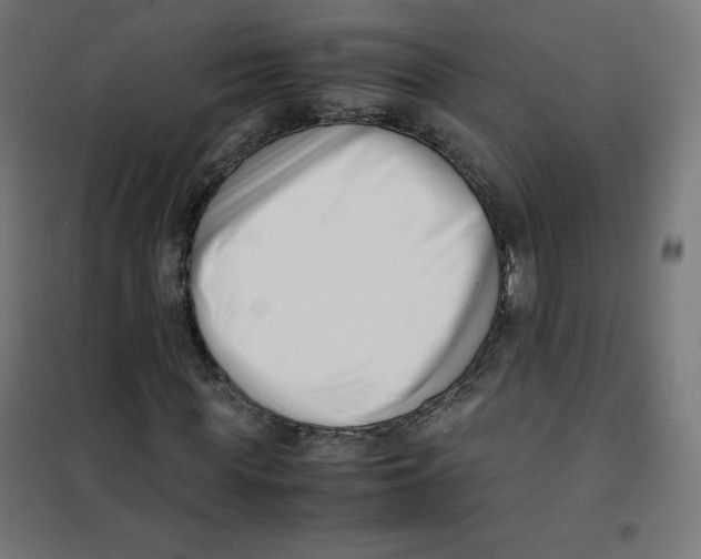 X0000101660819200808071019