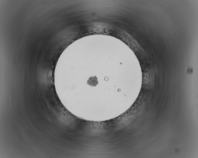 X0000101660820200808071019