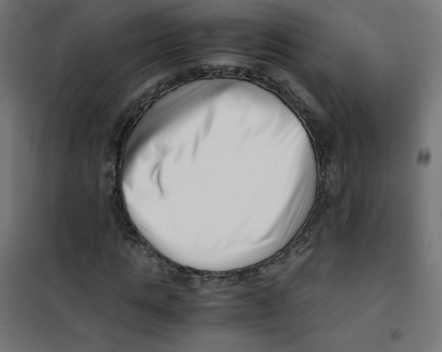 X0000101660821200808071019