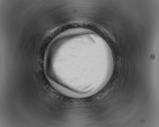 X0000101660822200808071019