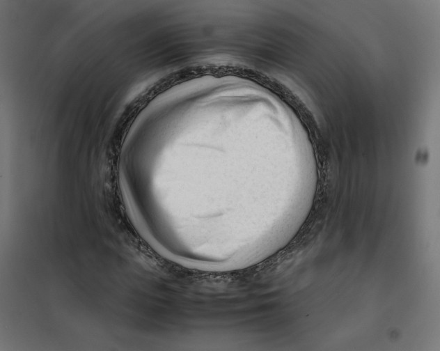 X0000101660823200808071019