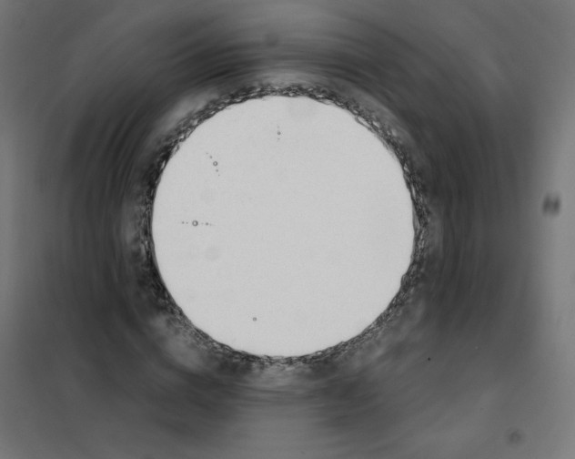 X0000101660824200808071019