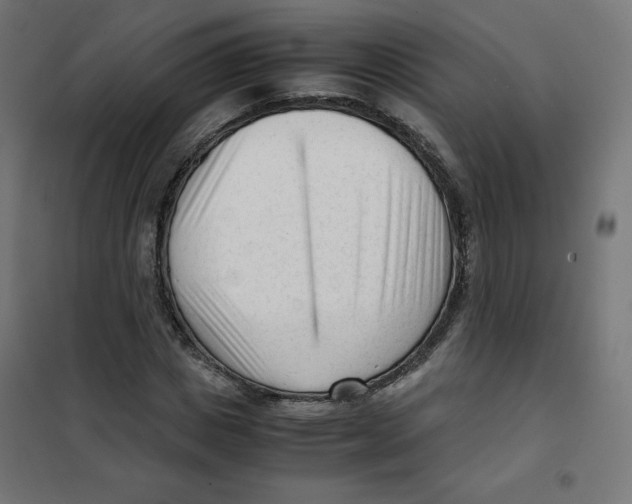 X0000101660825200808071019