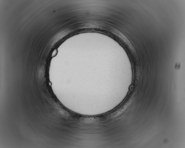 X0000101660826200808071019