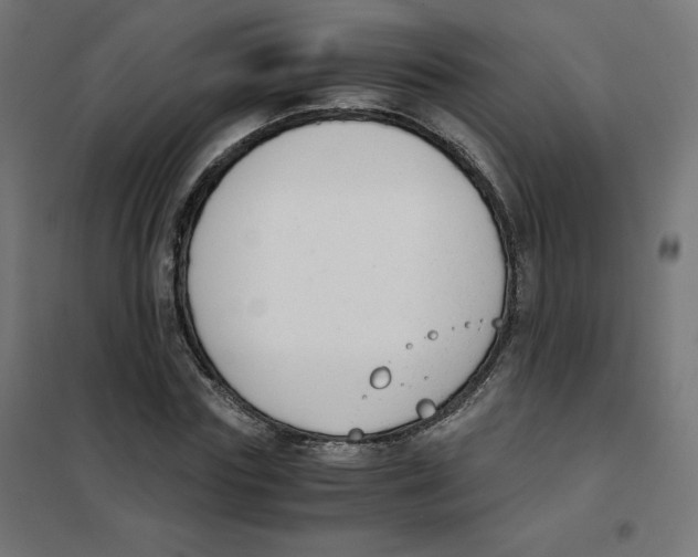 X0000101660827200808071019