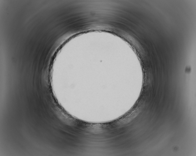 X0000101660828200808071019