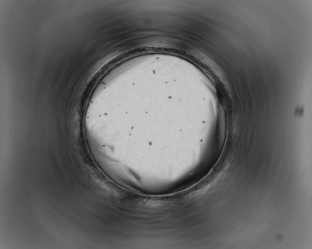 X0000101660829200808071019