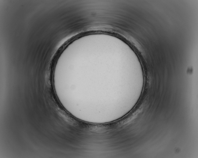 X0000101660830200808071019