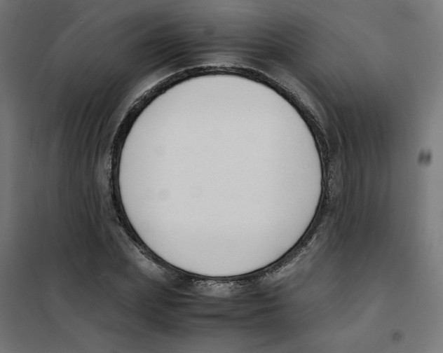 X0000101660831200808071019
