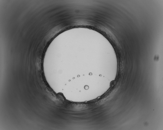 X0000101660833200808071019