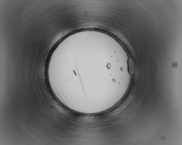 X0000101660834200808071019