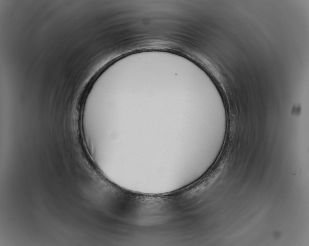 X0000101660835200808071019