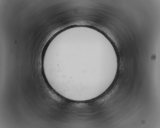 X0000101660837200808071019