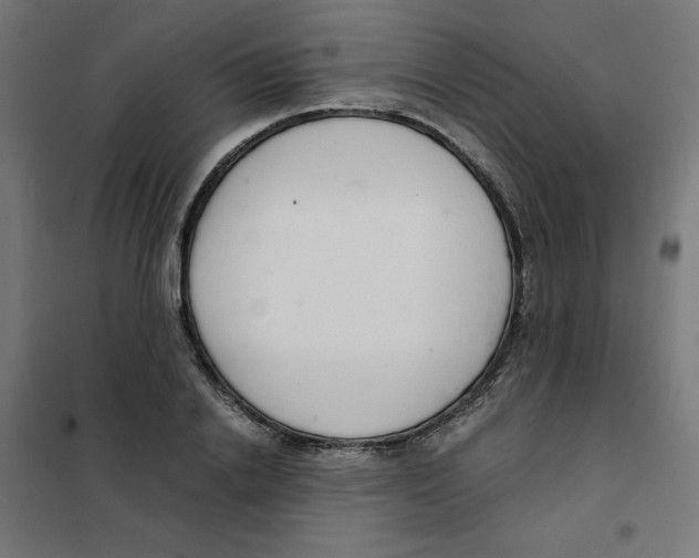 X0000101660838200808071019