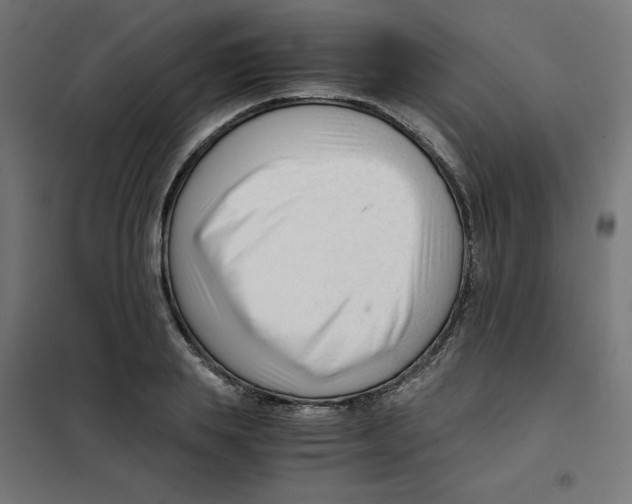 X0000101660839200808071019