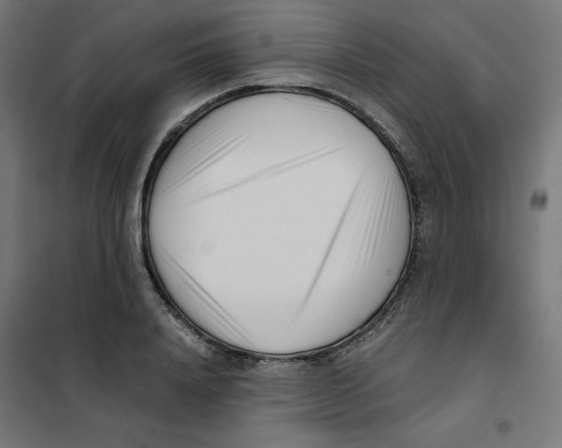X0000101660840200808071019