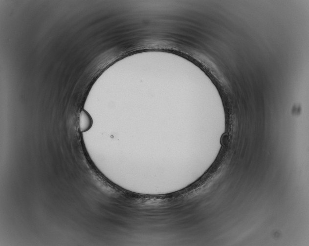X0000101660841200808071019