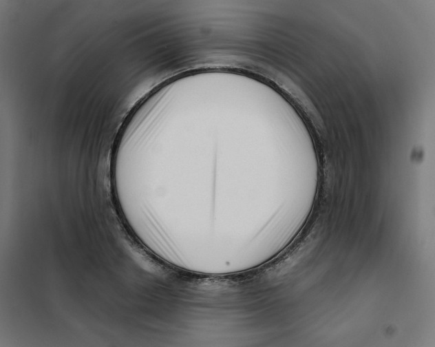 X0000101660842200808071019