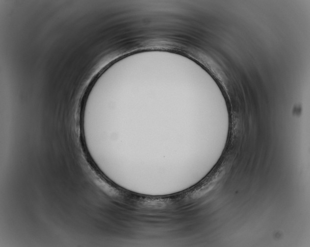 X0000101660843200808071019