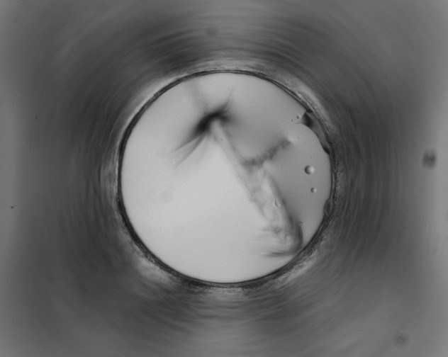 X0000101660844200808071019