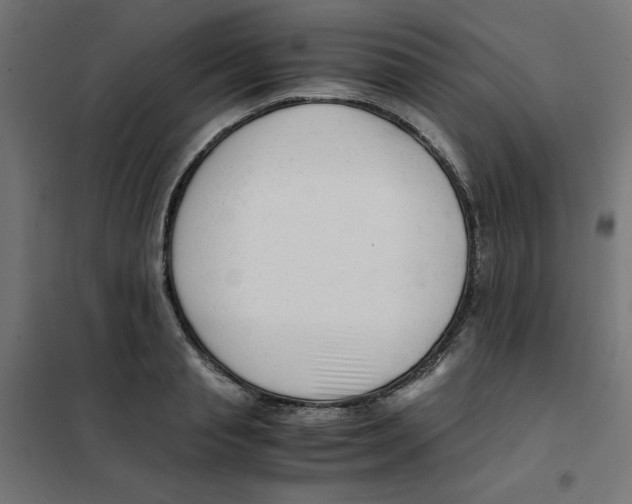 X0000101660845200808071019