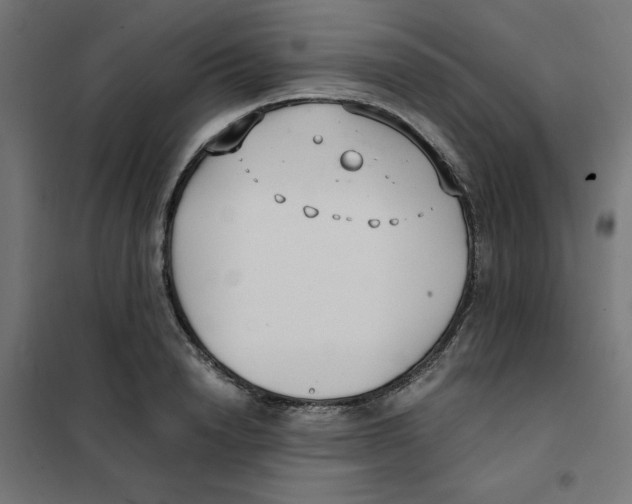 X0000101660846200808071019