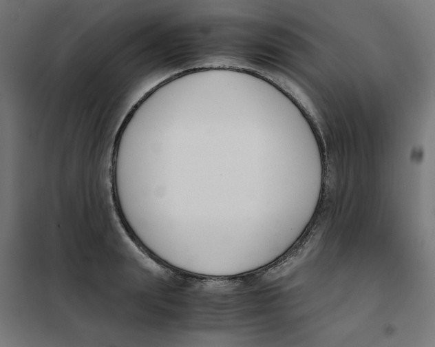 X0000101660847200808071019