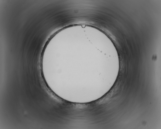 X0000101660848200808071019