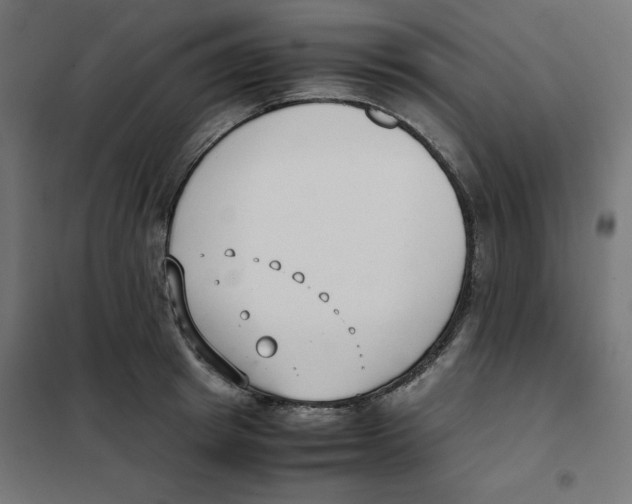 X0000101660849200808071019