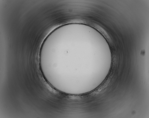 X0000101660852200808071019