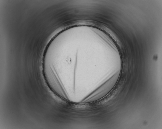 X0000101660853200808071019