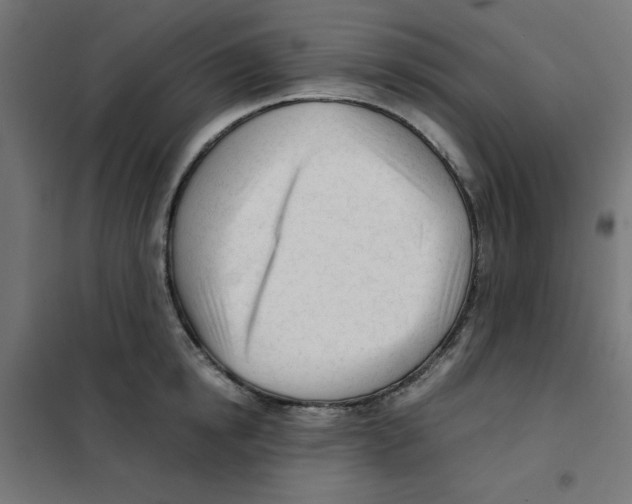 X0000101660854200808071019