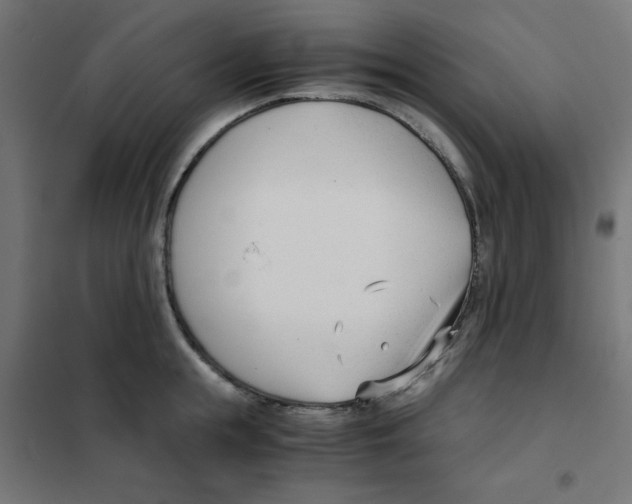X0000101660855200808071019