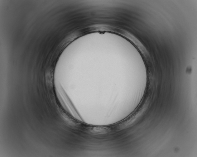 X0000101660857200808071019