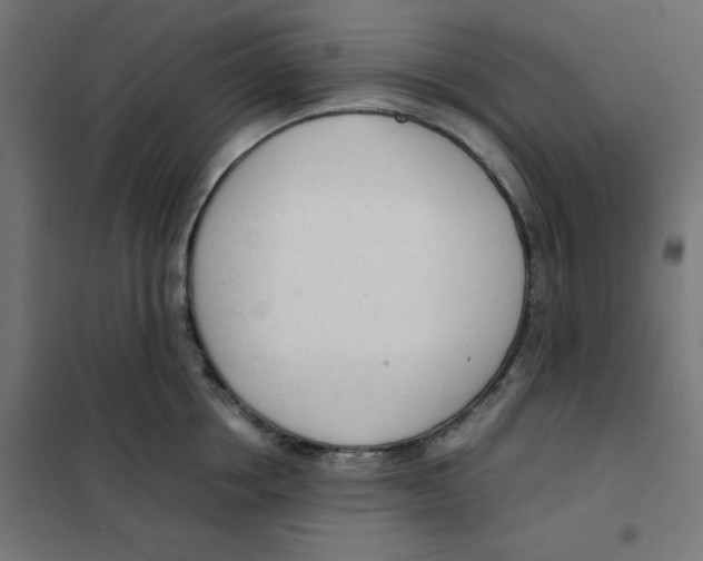 X0000101660858200808071019