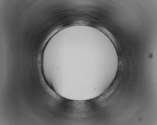 X0000101660859200808071019