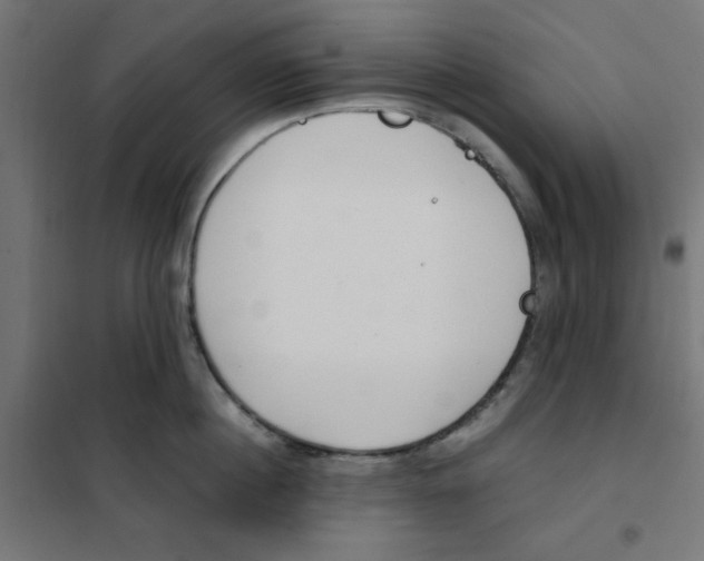 X0000101660860200808071019