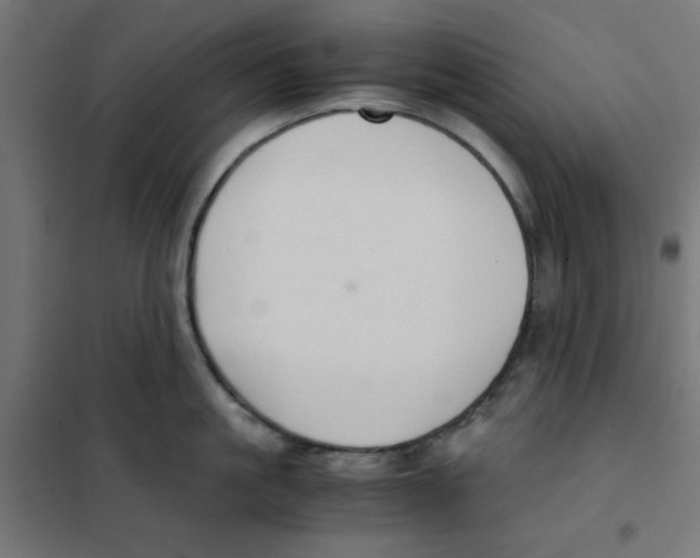 X0000101660861200808071019