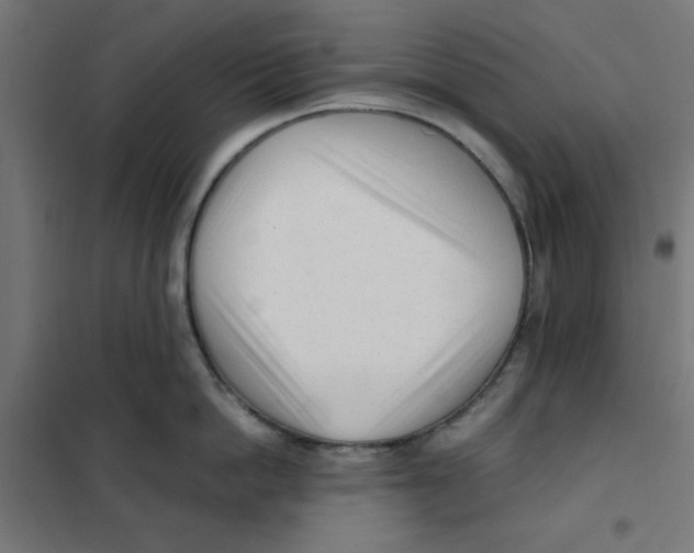 X0000101660862200808071020