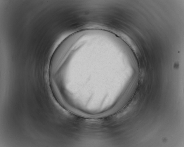 X0000101660863200808071020