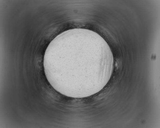 X0000101660867200808071019