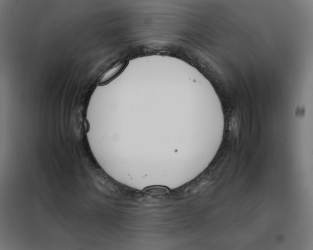 X0000101660868200808071019