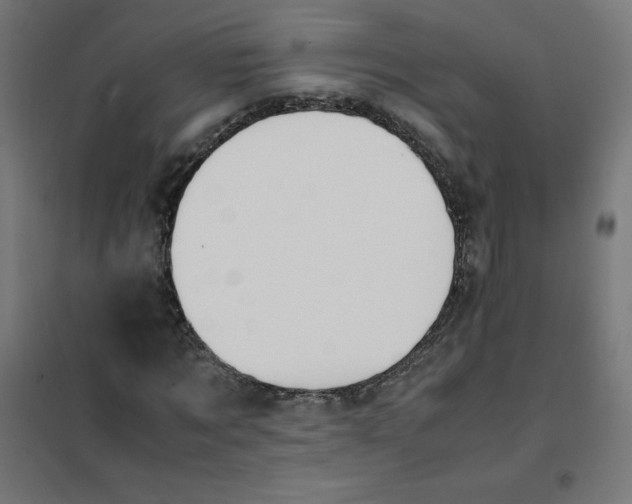 X0000101660869200808071019