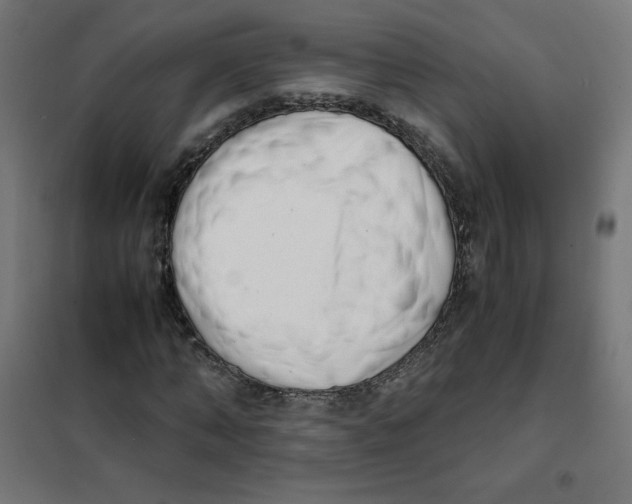 X0000101660870200808071019