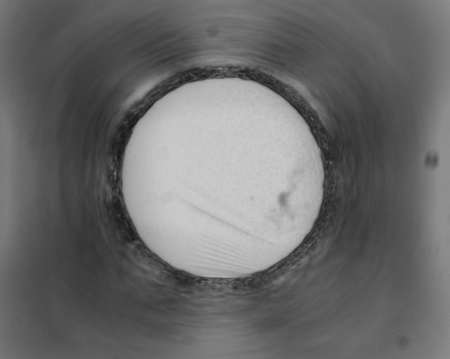 X0000101660871200808071019
