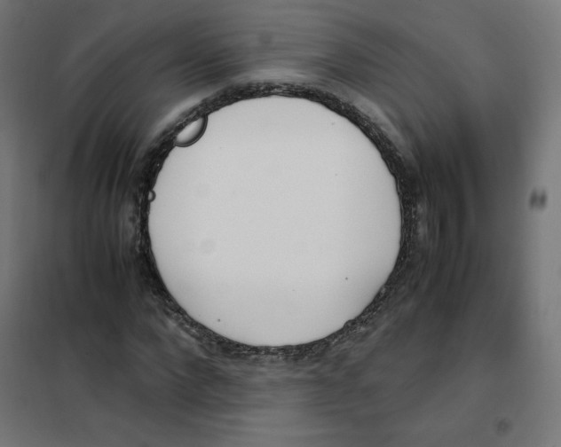 X0000101660872200808071019