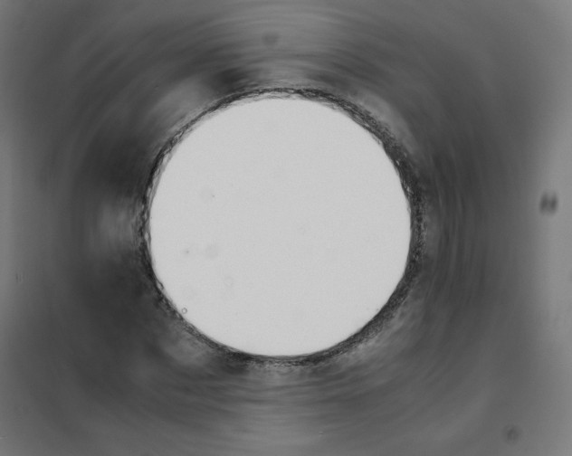 X0000101660873200808071019